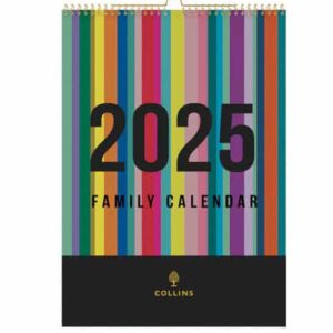 Edge Rainbow Wall Calendar 2025 - Month to View, Size A3  CD-EDFC135-25