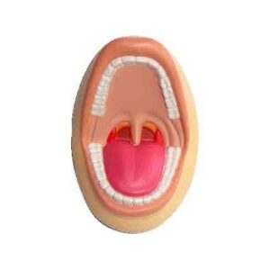 Stress: Mouth  PC-PXR049